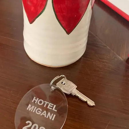 Hotel Migani Rimini