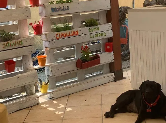 Migani Отель 2*