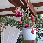 Hotel Migani Rimini