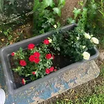 Migani Отель Римини